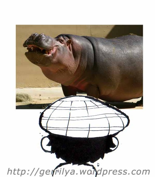 foto kuda nil (hippo) diambil di www.sodahead.com